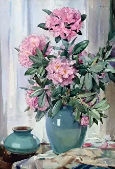 Rhododendron: Rhododendrons ? in blue-green vase