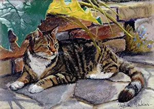 Sheltering: Rhubarb Parasol ? tabby cat
