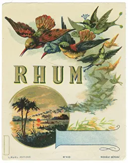 Rhum: Rhum label