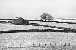 Desolation: Ribble Valley, winter - 02