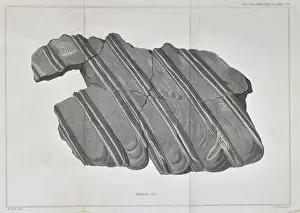 Lias: Ribs of an ichthyosaur
