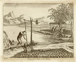 Poring: RICE IN CHINA - 3