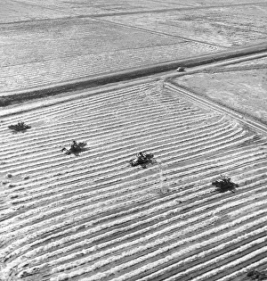 Paddy: Rice fields in Kuban, 1975