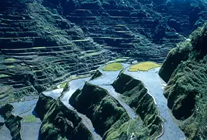 Cultivating: Rice Terraces