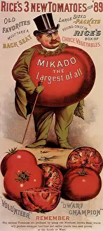Mikado: Rice's Tomato Seeds