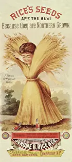 Sheaf: Rice's Vegetable Seeds