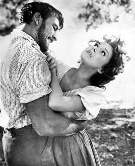 Untamed: Richard Egan - Susan Hayward - celebrity