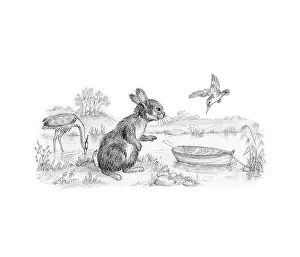 Mordue: Richard Rabbit Goes Boating by Truda Mordue