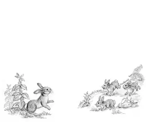 Mordue: Richard Rabbit Goes Boating by Truda Mordue