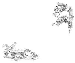 Mordue: Richard Rabbit Goes Boating by Truda Mordue