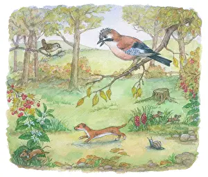 Mordue: Richard Rabbit Goes Boating by Truda Mordue