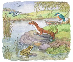 Mordue: Richard Rabbit Goes Boating by Truda Mordue