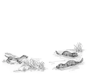 Mordue: Richard Rabbit Goes Boating by Truda Mordue