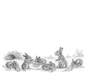Mordue: Richard Rabbit Goes Boating by Truda Mordue