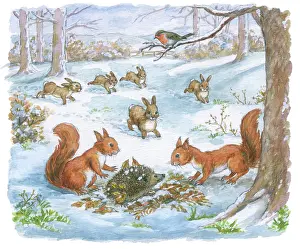 Mordue: Richard Rabbit Goes Boating by Truda Mordue