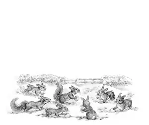 Mordue: Richard Rabbit Goes Boating by Truda Mordue
