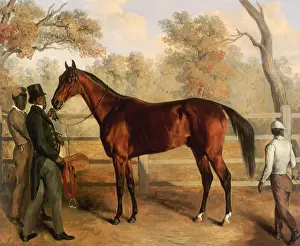 Singleton: Richard Singleton
