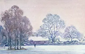 Billinghurst: Richmond Park under Snow