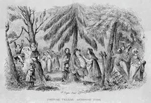 Teller: Richmond Park, Surrey