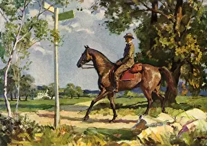 Crossroad: Rider at Crossroad