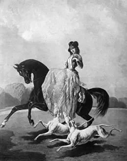 Sidesaddle: Rider with dogs