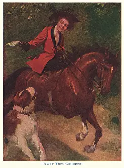 Galloping: Rider and St.Bernard