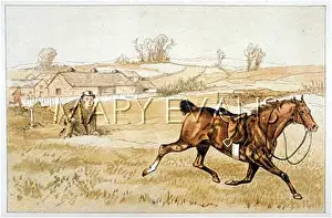 Contentedly: RIDER THROWN (BOWERS)