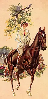 Motorists: Rider Trots Ahead