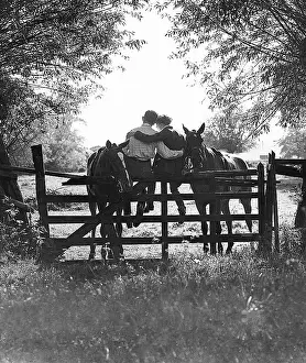 Surry: Two riders