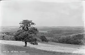 Ridge: On the Ridge, Hastings