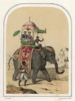 Lassalle: Riding Elephant - Lassalle