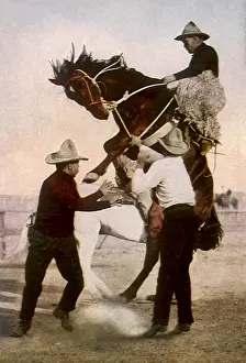 Outlaw: Riding an Outlaw