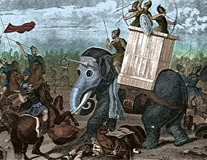 Howdah: Riding War Elephant
