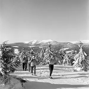 Krkonose: Riesengebirge - skiing - snow - winter