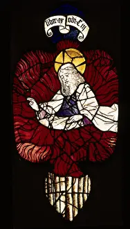 Thornbush: Rieter Windows