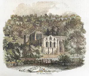 Nestling: Rievaulx Abbey 1845