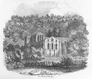 Nestling: Rievaulx Abbey 1845