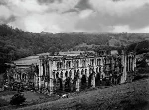 Rievaulx: RIEVAULX ABBEY