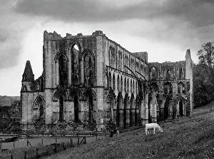 Rievaulx: RIEVAULX ABBEY