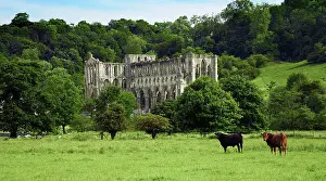 Rievaulx: Rievaulx Abbey