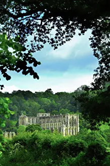 Rievaulx: Rievaulx Abbey