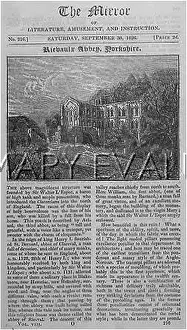 Rievaulx: Rievaulx Abbey, England