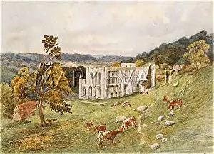 Rievaulx: RIEVAULX ABBEY/SOUTHEAST