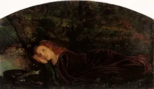 Rift: The Rift Within the Lute