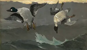 Bsloc1606: Right and Left, by Winslow Homer