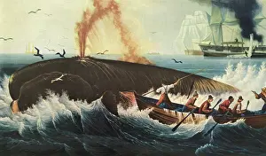 Whaling: Right Whale Hunting