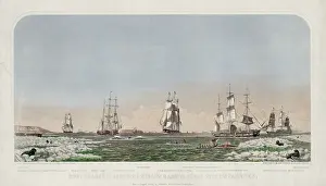 Whaling: Right whaling in Behering Straits & Arctic Ocean with its va