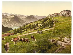 Rigi: Rigi Scheidegg, the Hotel, Rigi, Switzerland