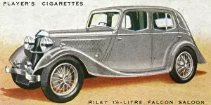 Litre: Riley Falcon