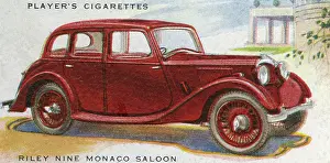 Pounds: Riley Monaco Saloon